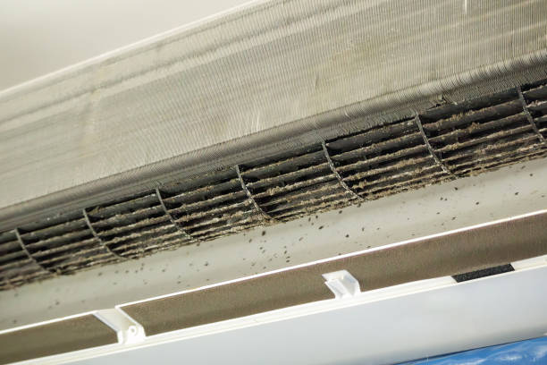 Best HVAC Air Duct Cleaning  in Doa Ana, NM